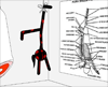 Stickman Madness